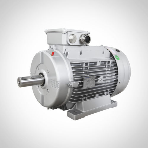 Motore ad induzione - SWE-160L4-15KW - Fuzhou Wonder Electric Co.,Ltd. - AC / IE3 / per macchina di imballaggio