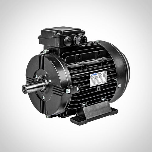 Motore asincrono - SSWEA100L2-4-3KW - Fuzhou Wonder Electric Co.,Ltd. - AC / IE4 / per il trattamento di acque reflue