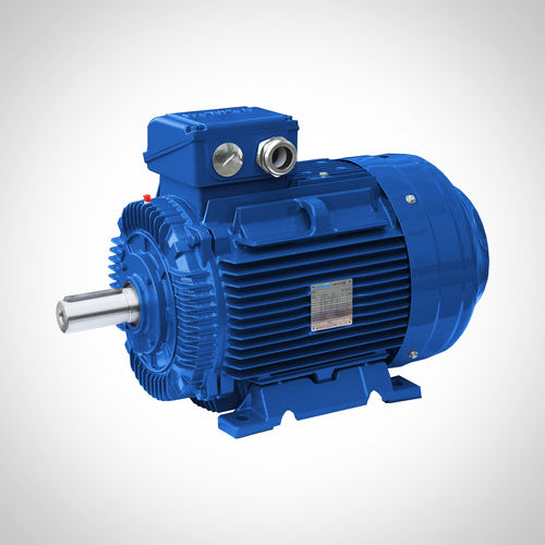 Motore ad induzione - SWE-250M2-55KW - Fuzhou Wonder Electric Co.,Ltd. - AC / rinforzato / IE3