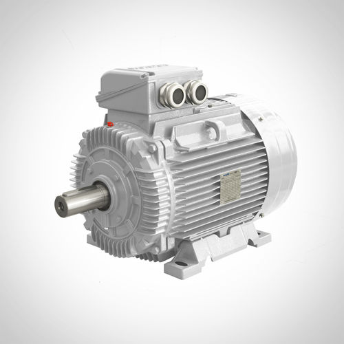 Motore asincrono - SWE200L4-30KW - Fuzhou Wonder Electric Co.,Ltd. - trifase / rinforzato / IE3