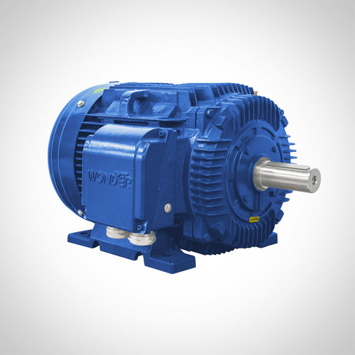 Motore ad induzione - NT444T1-6-D-75HP - Fuzhou Wonder Electric Co.,Ltd. - AC / in ghisa / TEFC
