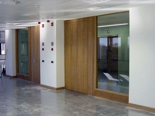 Porta battente - EI2-30-60-90-120 series - ALFATECO MADRID S.A. - in vetro / in legno / per interno