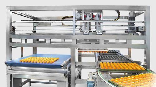 Smodellatore per l'industria agroalimentare - SMO - COMAS SPA - automatico
