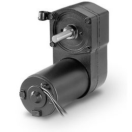 Elettrocilindro - DGB  - Thomson Industries, Inc. - rotativo / 24 V / 12 volt