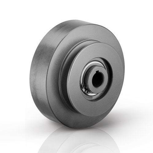 Frizione centrifuga - GGP  - AB TRASMISSIONI SRL - elettromagnetica