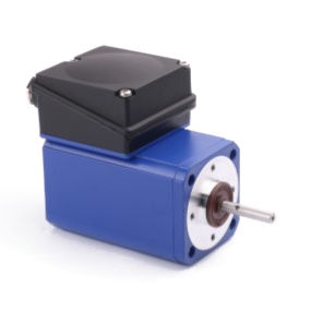 Motore ad induzione - IGK 65 - GROSCHOPP AG Drives & More - monofase / IP54 / rinforzato