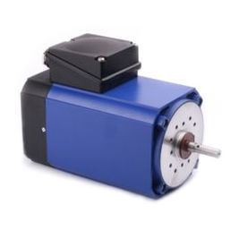 Motore ad induzione - IGL 100 - GROSCHOPP AG Drives & More - AC / rinforzato / compatto