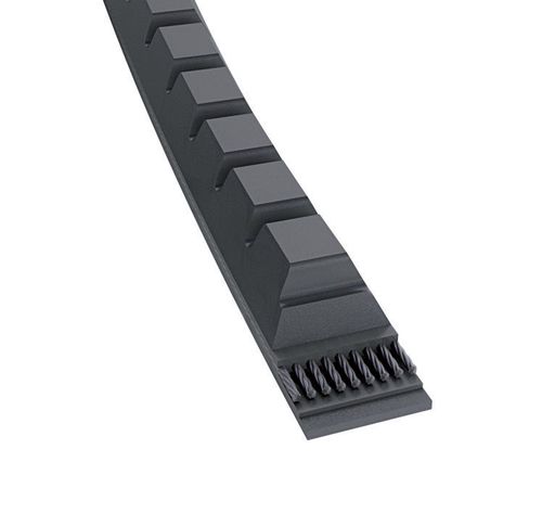CONTINENTAL CTAM 5pk875 zeppa NERVATURE CINGHIA CINGHIE TRAPEZOIDALI 