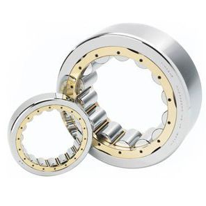 Cuscinetto a rulli cilindrici - NF  - TIMKEN Europe - radiale / a corona singola / in acciaio