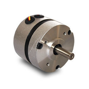 Motore brushless - BR5743-12  - Transmotec Sweden AB - DC / 12 V / 2 poli