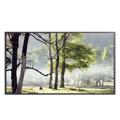 Monitor LCD - CLS-D55EM - PKTRONICS GROUP - con retroilluminazione a LED / digitale / per digital signage player