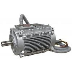 Motore per sistema di estrazione di fumo e di calore - LSHT/FLSHT - LEROY-SOMER - ad induzione / trifase / 690 V