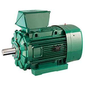 Motore ATEX - FLSES zone 22 - LEROY-SOMER - ad induzione / AC / 400 V
