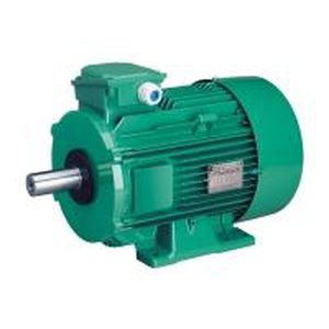 Motore ad induzione - LS series - LEROY-SOMER - trifase / con carcassa in alluminio / IP55