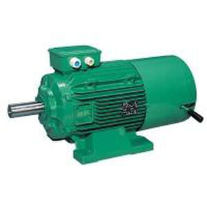 Freno motore ad induzione - FCPL series - LEROY-SOMER - DC / 200 V / 180 V