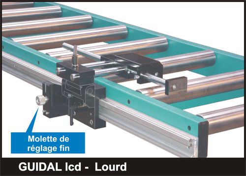 Trasportatore a rulli - Visionic - ROTY ET FILS - orizzontale / per sega circolare