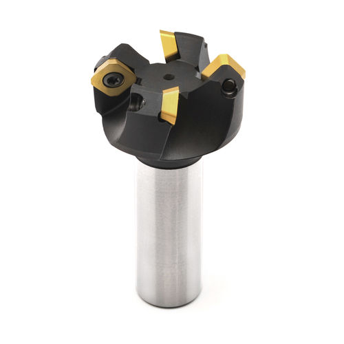 Fresa a riccio - DS4500.00 - Euskron S.A. - a inserti / a spianare / a 2 denti