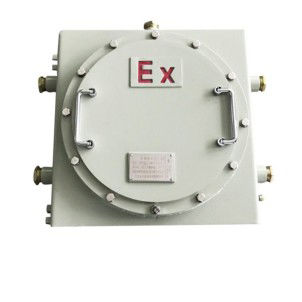 Scatola di derivazione antideflagrante - JWBX-20C3 - Joiwo Explosion Proof Science and Technology - sporgente / IP65 / in acciaio al carbonio