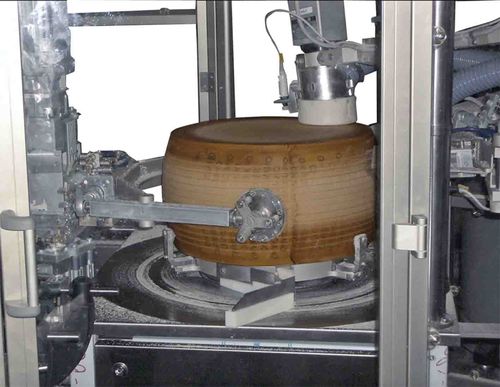 Lavatrice agroalimentare per formaggio - Caseartecnica Bartoli - automatica