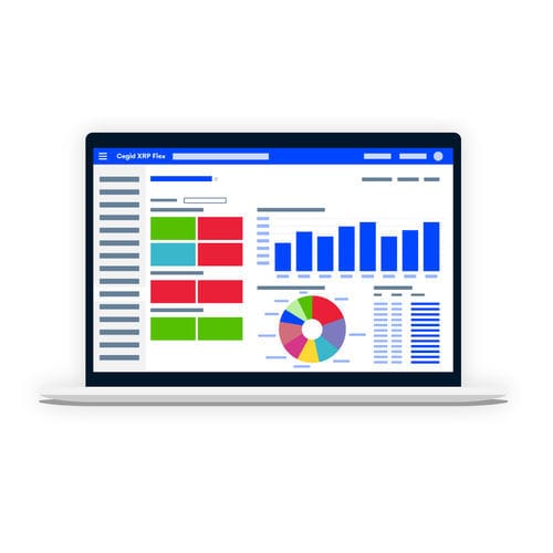Software di ERP - Cegid XRP Flex - CEGID - di gestione / per reportistica / in tempo reale