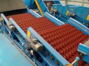 Vaglio sgrossatore per vetro - NEWScreen - CP Manufacturing - a vibrazione lineare / per prodotti sfusi