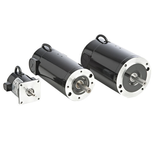 Motore a spazzola - Brush DC Motors - BODINE ELECTRIC COMPANY - DC / 180 V / 130 V