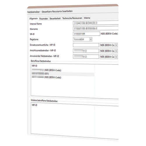 Software di gestione - Redispatch 2.0 - VIVAVIS - di interfaccia / di regolazione / SCADA