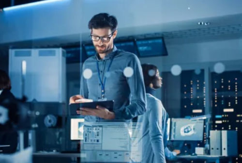 Software di gestione - Digital Safety Manager - ANSYS - di analisi / di supervisione / di sviluppo