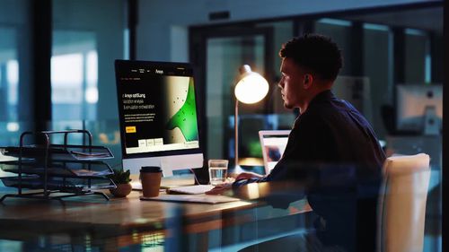 Software di analisi - optiSLang - ANSYS - di simulazione / di gestione / di visualizzazione