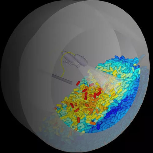 Software di simulazione - Rocky - ANSYS - di modellizzazione / CFD / di accoppiamento per modello di simulazione