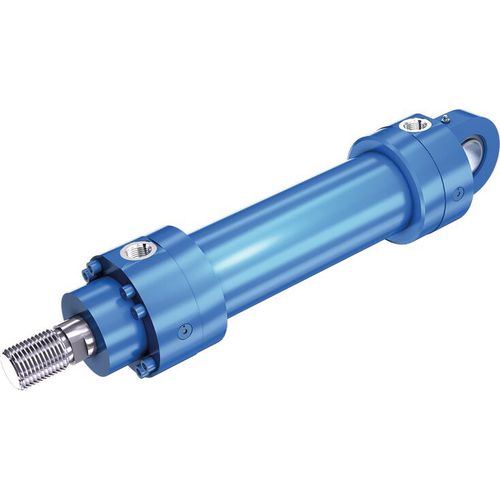 Cilindro idraulico - C series - Bosch Rexroth - Industrial Hydraulics - differenziale / cilindro / a pistone