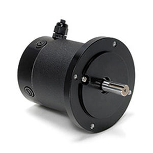 Motore a spazzola - DPP701 - Electrocraft - DC / 24 V / 48 V