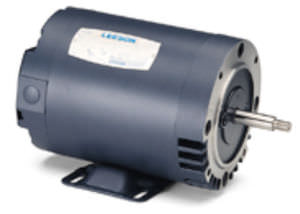 Motore sincrono - LEESON Electric - DC / 60 V / a magneti permanenti