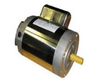 Motore sincrono - 0.5 - 2 hp, 1 800 rpm, 115 - 230 V - LEESON Electric - DC / 220 V