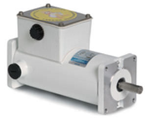 Motore sincrono - LEESON Electric - DC / a tenuta stagna