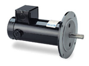 Motore sincrono - LEESON Electric - DC / a magneti permanenti