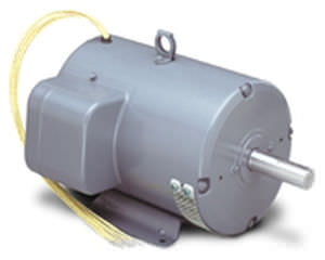 Motore asincrono - LEESON Electric - AC / trifase / 220 V