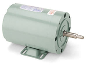 Motore AC - LEESON Electric - monofase / per pompa