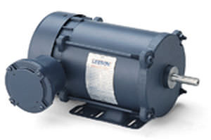 Motore asincrono - LEESON Electric - AC / monofase / 12 V