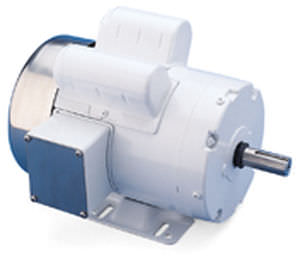 Motore DC - Washguard - LEESON Electric - in acciaio inossidabile / per applicazioni "wash down"