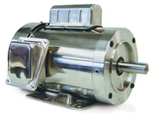 Motore a spazzola - SST - LEESON Electric - DC / 220 V / in acciaio inossidabile