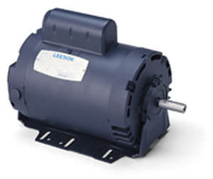 Motore asincrono - LEESON Electric - AC / trifase / reversibile