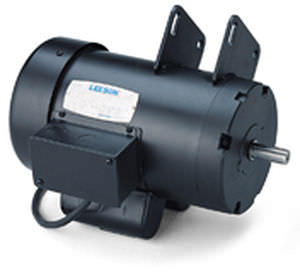 Motore sincrono - 1.5 - 4 hp, 3 450 rpm - LEESON Electric - DC / ad alta coppia