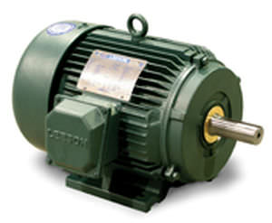 Motore asincrono - LEESON Electric - AC / trifase / 60 V