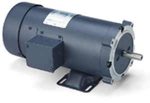 Motore sincrono - LEESON Electric - a corrente continua / 80 V / a magneti permanenti