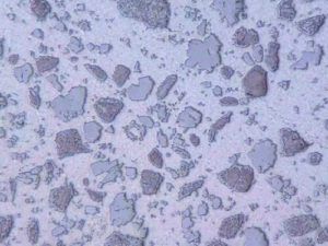 Carburo di tungsteno - Surface Engineering Alloy Co.