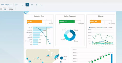 Software di gestione prestazioni - BusinessObjects Business Intelligence - SAP - di gestione finanziaria / di analisi / di visualizzazione