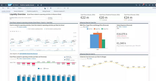 Software di gestione finanziaria - S/4HANA Cloud for cash management - SAP - di supervisione / di regolazione / per reportistica