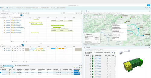 Software di gestione - Transportation Management - SAP - di pianificazione / di ottimizzazione logistica / della catena di fornitura