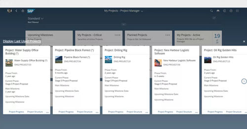Software di analisi - Enterprise Portfolio and Project Management - SAP - per reportistica / di pianificazione / di ottimizzazione